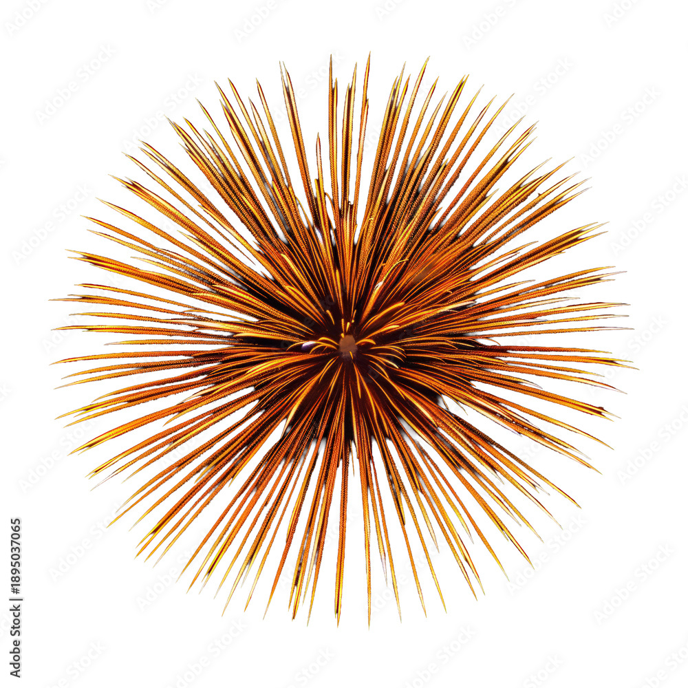 Naklejka premium Golden Firework Explosion on Black Background