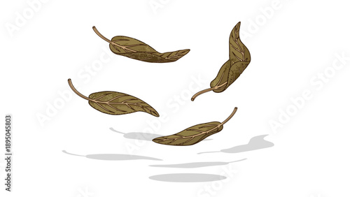 A serene illustration captures four brown autumn leaves gracefully descending with delicate shadows, symbolizing the subtle seasonal transition and