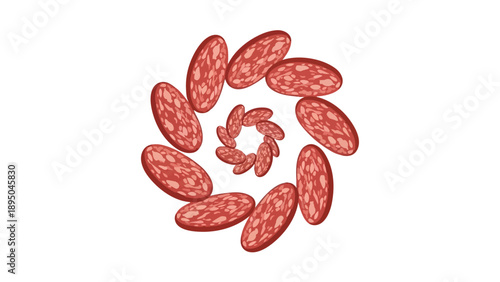 Illustrative spiral composition of gourmet cured sausage slices on a pristine white backdrop