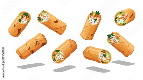 Crispy fried spring rolls collection, a dynamic vector illustration featuring delicious appetizer food.