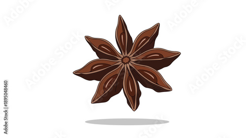 Stylized star anise pod with warm brown tones on a crisp white background, perfect for culinary themes
