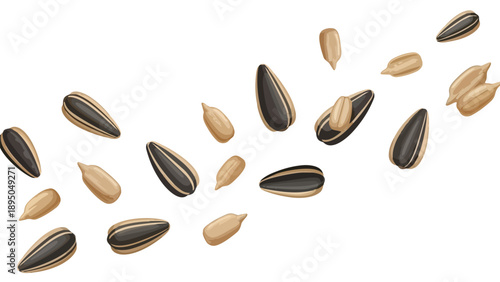 A vibrant illustration showcasing an array of natural sunflower seeds both shelled and unshelled gracefully scattered across a pristine white