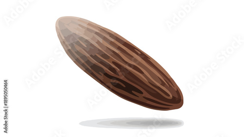 Digital illustration of a single brown date fruit. Displays natural striped texture and a subtle shadow. Isolated on a pristine white background.