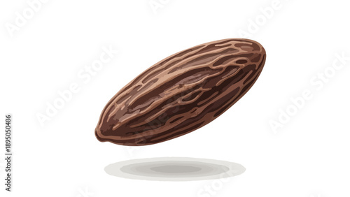 A pristine illustration capturing the singular essence of a rich brown tonka bean, detailed with its characteristic intricate surface texture and