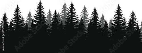 Pine forest silhouette background, evergreen trees landscape, dark conifer woods scene, nature wilderness illustration