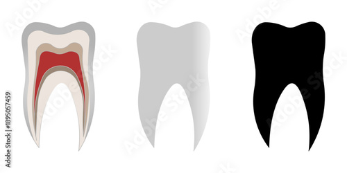 human teeth icon graphic icon vector