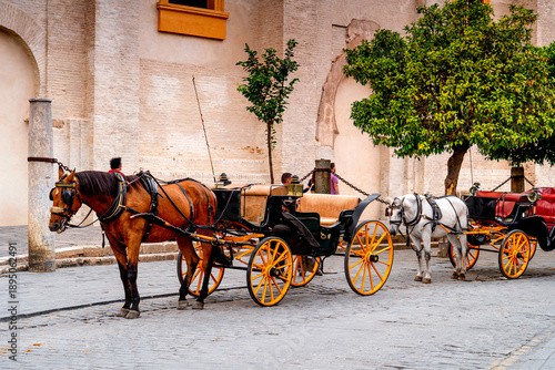 Fotografie Horse-drawn carriages transporting tourists in front Gothic Cathedral Lady Seville, Andalusia, Spain