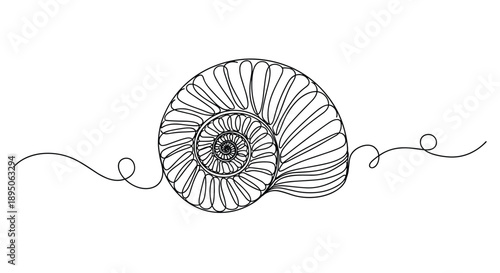 Nautilus shell spiral sea creature depicted in elegant continuous line art style on clean white background for minimalist decor.