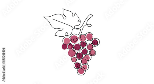 Bunch of ripe purple grapes with a single leaf depicted in artistic continuous line art style with watercolor color spots.