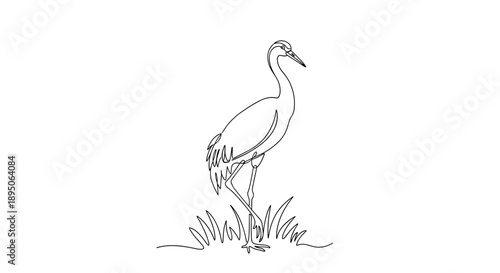 Elegant continuous line drawing of a tall crane bird standing gracefully in a patch of long grass on a white base for bird lovers art.