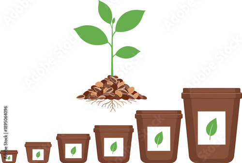 Young green plant seedling with roots and organic soil alongside a set of brown garden flower pots in various sizes.