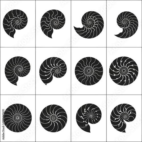 Golden Ratio Fibonacci Spiral Nautilus Shell Vector Icon Set, Black and White Geometric Logarithm Shapes isolated on white