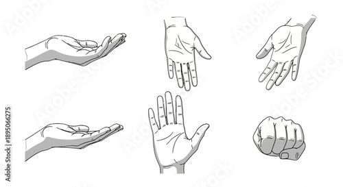 Collection of various hand gestures in different positions and orientations.