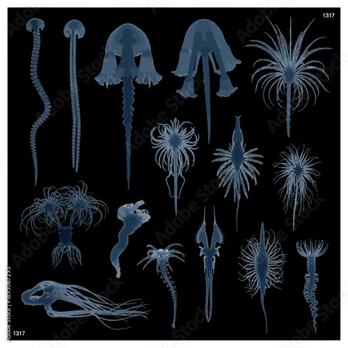 Deep sea bioluminescent jellyfish and marine creatures vector illustration set, dark blue glowing organisms, isolated on black