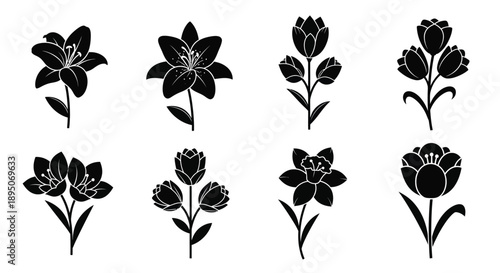 Floral arrangement of various blossoms in a stark black silhouette