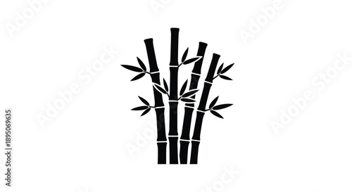 Black bamboo stalks and leaves presented as a striking silhouette