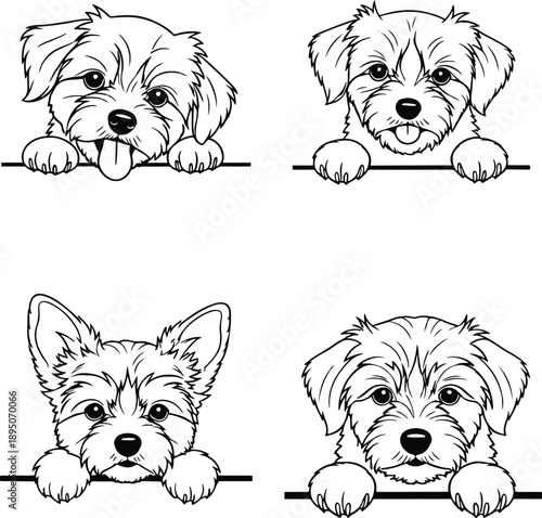 Peeking Dog SVG Bundle