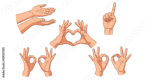 Set of various human hand gestures including heart shape, ok sign, pointing finger, and open palms on a plain white background.