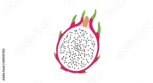 Cross section illustration of a ripe dragon fruit shows the characteristic white flesh speckled with tiny black seeds and vibrant pink skin.