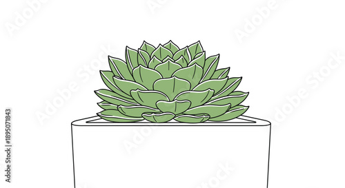 Detailed illustration of a thick green succulent plant growing in a simple white square ceramic pot for indoor home decoration.