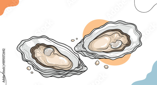 High quality hand drawn illustration of two open oysters with pearls inside showing detail for luxury seafood restaurant menu design.