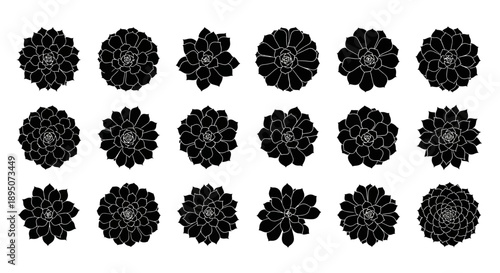 Black Succulent Plant Silhouettes Vector Set
