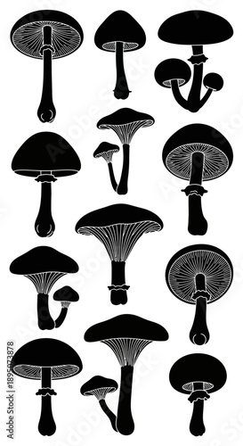 Black Silhouette Mushroom Vector Set on White Background