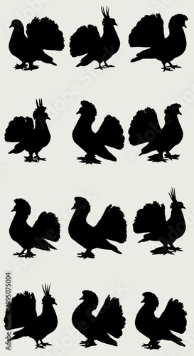 Black Silhouette Vector Set of Twelve Fantail Pigeons