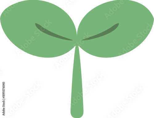 새싹 묘목 파종