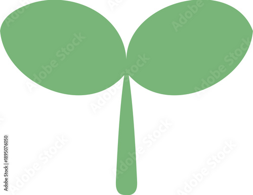 새싹 묘목 파종