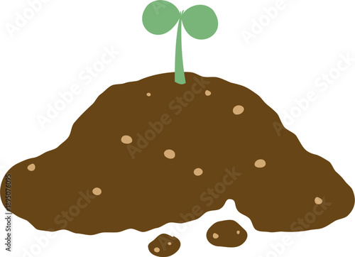 새싹 묘목 파종