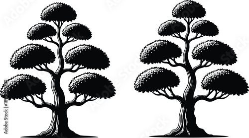 Pair of stylized bonsai pine trees in a black and white woodcut engraving style isolated on white background for Japanese garden
