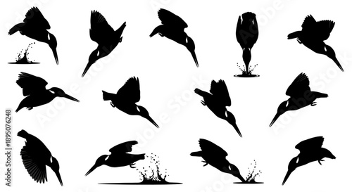 Kingfisher Bird Diving Silhouette Vector Set