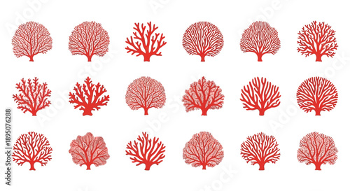 Red Coral Reef Vector Set on White Background