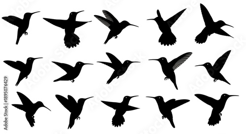 Black Hummingbird Silhouettes in Flight Vector Set