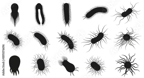 Black Microbe Bacteria and Virus Vector Set