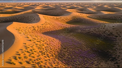Desert landscape aerial view with undulating sand dunes under warm sunlight