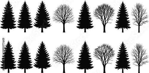 Set of Black Silhouette Pine and Deciduous Trees with Detailed Branches and Leaves for Nature Environment Landscape Design and Forestry Concept Isolated on White Background