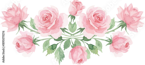 Set of Rose flower watercolor illustration border