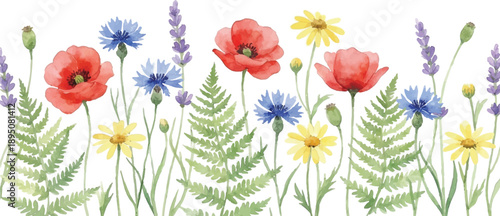 wildflower bottom border watercolor style