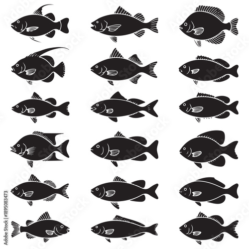 Set of  fish vector silhouette