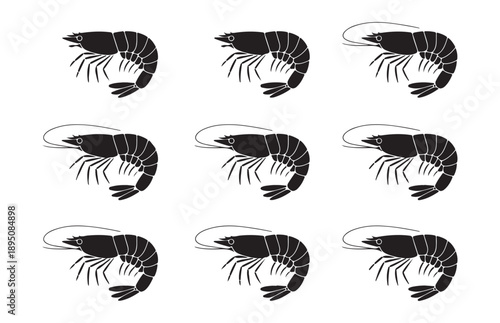 Shrimp icon vector illustration set isolated on white background depicting marine life and seafood industry
