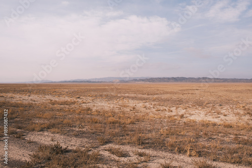Tableau sur toile Vast arid plain with dry grass and distant mountains under a pale sky