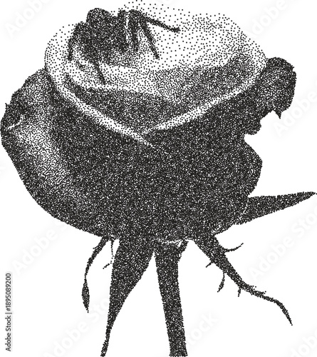 Flower y2k retro stipple art blossom brutalist halftone vector png transparent, floral 2000s photocopy effect tattoo aesthetic