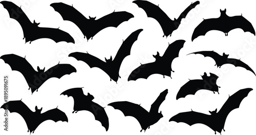 Bat silhouette collection showing flying bats in multiple wing positions isolated on white background for halloween, wildlife, and night design use