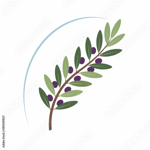 Stylized olive branch with purple fruits and a light blue arc