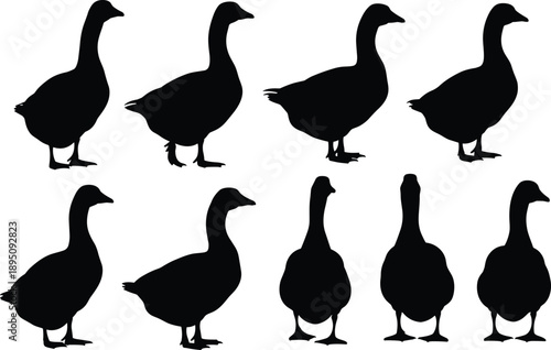 Goose silhouette collection showing farm geese in multiple standing poses isolated on white background for agriculture, poultry, and design use