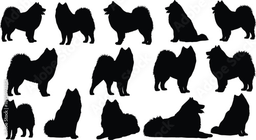 Fluffy dog silhouette collection showing spitz and samoyed breeds in multiple poses isolated on white background for pet design use