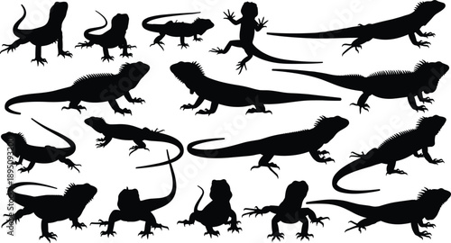 Lizard and iguana silhouette collection showing reptiles in multiple poses isolated on white background for wildlife, nature, and vector design use