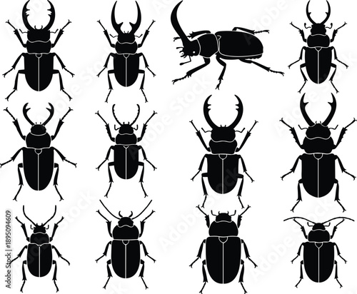 Vector silhouette collection of stag and rhinoceros beetles isolated on white background for entomology, nature education, biology research, and creative wildlife graphic design projects.